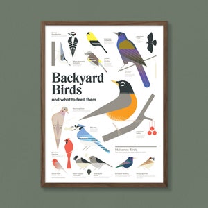 Póster Pájaros del patio trasero
