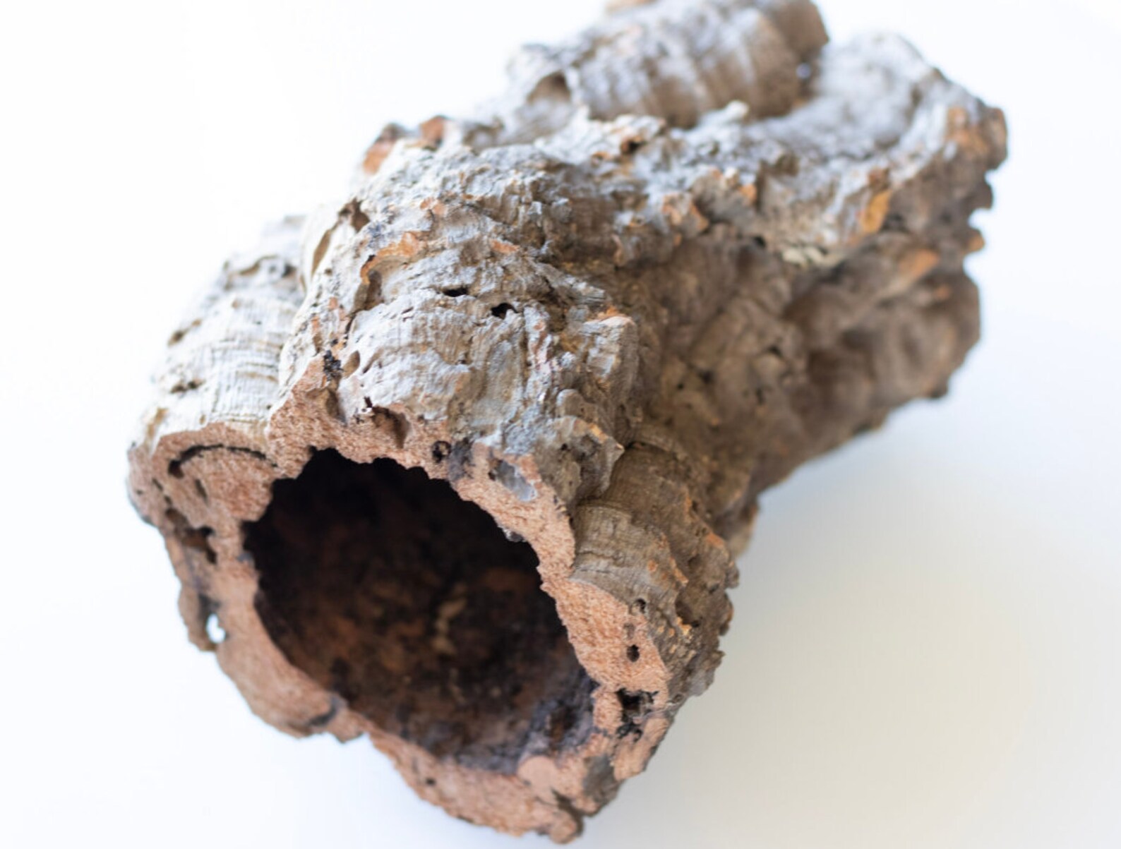 Cork log natural wood hideout for hamsters Etsy