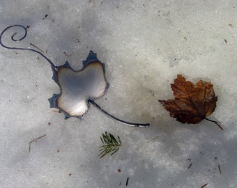 Small Maple Leaf Wall Hanging