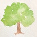 Oak Tree Book Arts