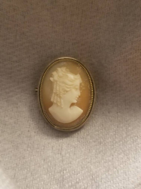 Vintage Shell Cameo Pendent / Pin