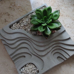 Könnte beinhalten: Ein grauer Betontopf mit Wellenmuster und einer Sukkulente, die darin wächst. Der Topf hat zwei kleine Fächer, die mit weißen Steinen gefüllt sind.