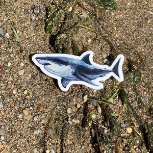 Great White Shark Sticker - Shark Sticker - Shark Art, Shark Lover Gift, Animal Sticker, Vinyl Sticker