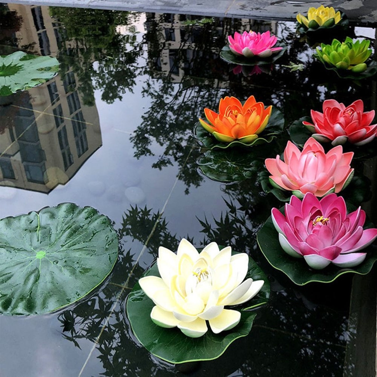 Floating lotus лилейник