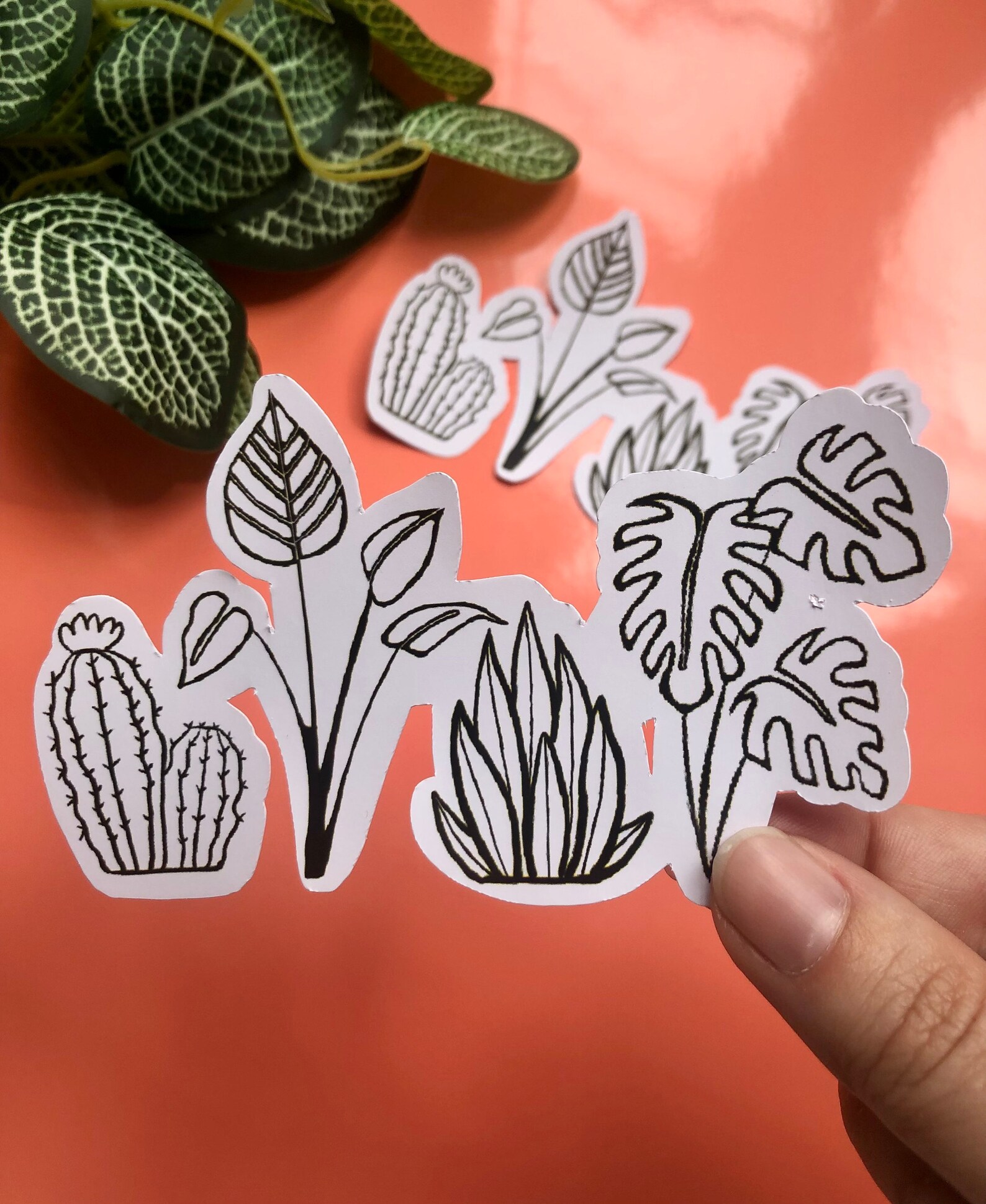 Black and White Houseplant Vinyl Sticker Plant Stickers Water Resistant