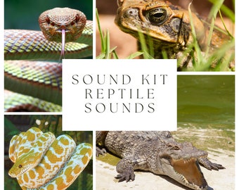 46 Reptile Sound Kit | Audio Project | Animal Sounds | Producer Sound Kit | Sound FX Pack | Snake Sound Effects | Crocodile | Digital Files