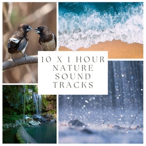 10 x 60 Minute Royalty-Free Nature Sound Recordings | Meditation Sounds | Sleep Sounds | Beach | Birds | Rain | Forest | Instant Download