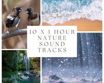 10 x 60 Minute Royalty-Free Nature Sound Recordings | Meditation Sounds | Sleep Sounds | Beach | Birds | Rain | Forest | Instant Download
