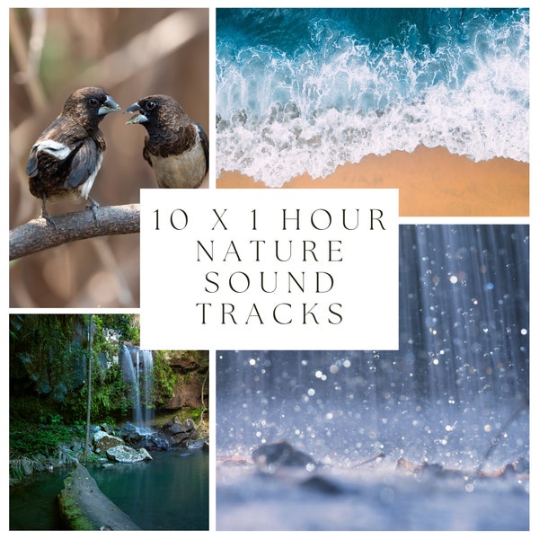 10 x 60 Minute Royalty-Free Nature Sound Recordings | Meditation Sounds | Sleep Sounds | Beach | Birds | Rain | Forest | Instant Download