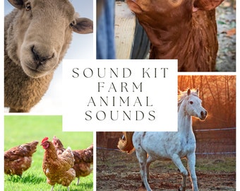 Farm Animal Sounds - Etsy Australia Farm Animal Sounds - Etsy Australia