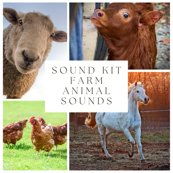 86 Kit de sonido de animales de granja / Proyecto de audio / Kit de sonidos del productor / Paquete de efectos de sonido / Efectos de sonido de granja / Sonidos de vacas / Cabra / Pollos / Caballo