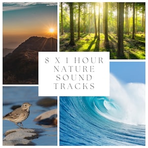 8 x 60 Minute Royalty-Free Nature Sound Recordings | Meditation Sounds | Sleep Sounds | Ocean | Campfire | Birds | Forest | Instant Download
