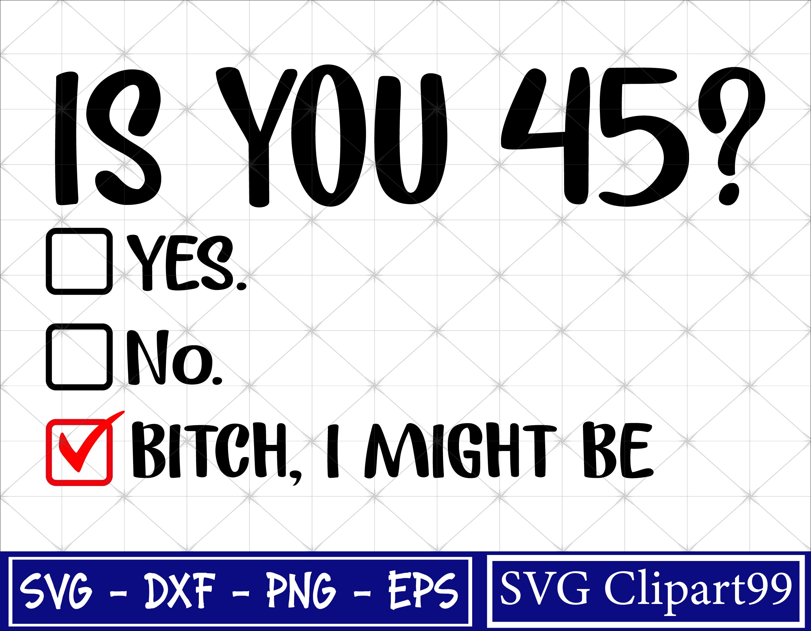 Is you 45 Svg, 45th Birthday Svg, Is You 45? Bitch I Might Be Svg, Birthday shirt Svg, Funny Sassy 45th Birthday Svg, Svg For Cricut