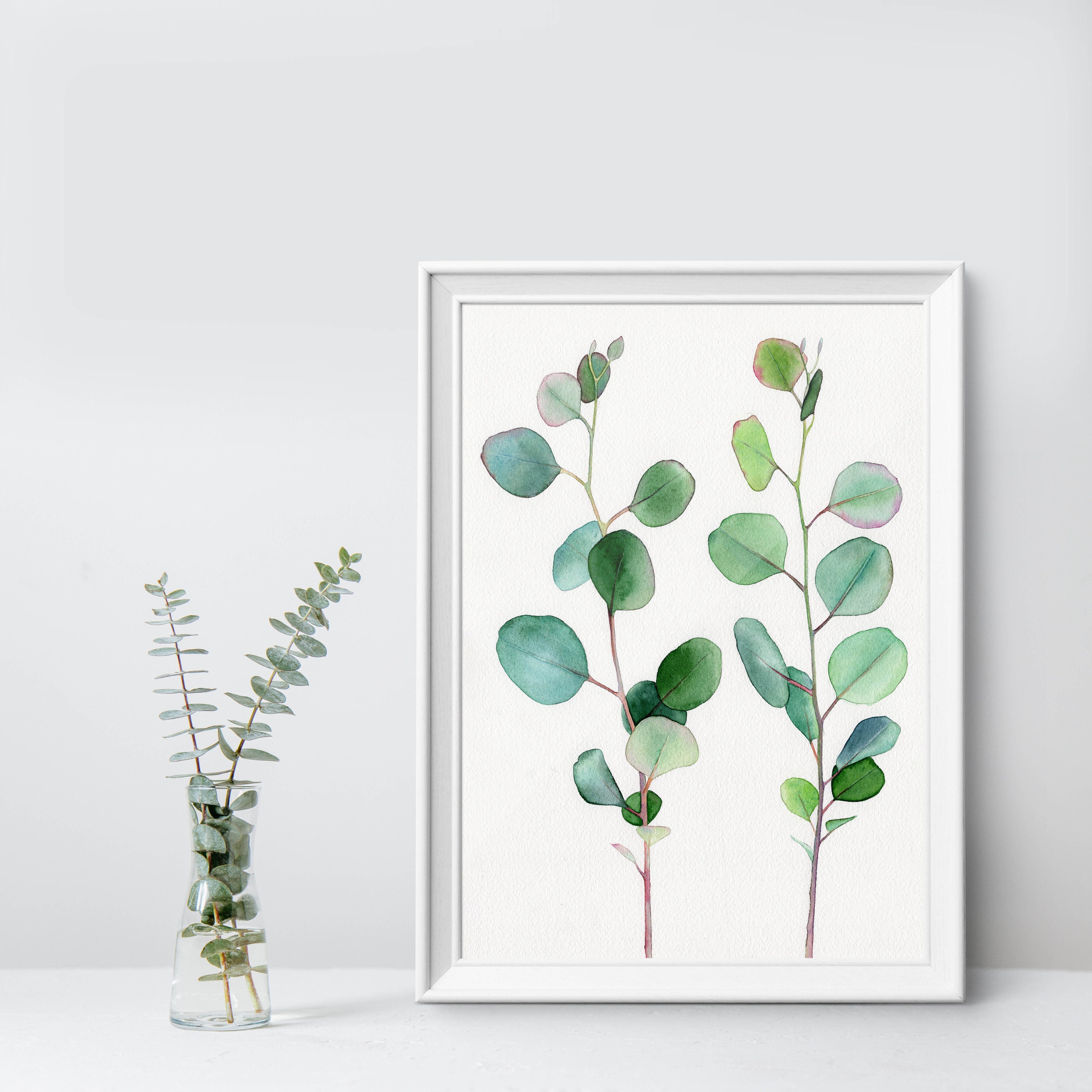 Watercolor Eucalyptus Clipart Eucalyptus PNG Greenery Clipart ...