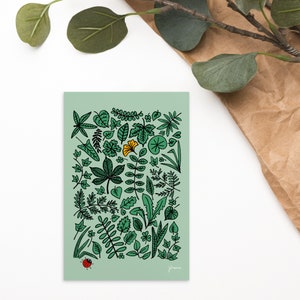 Carte postale herbier Carte de vœux - Carte d'anniversaire - Carte standard format A6 300 g/m*m - feuilles d'arbre sur fond vert coccinelle