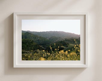 Malibu Mountain Wildflower Print | Cistern Trail Landscape Photography | Digital Download