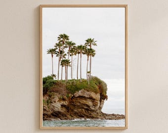 May include: A framed print featuring a coastal landscape. The image showcases a small island with palm trees atop a rocky cliff. The ocean is visible at the base of the cliff, with a cloudy sky in the background. The frame is made of light-colored wood.