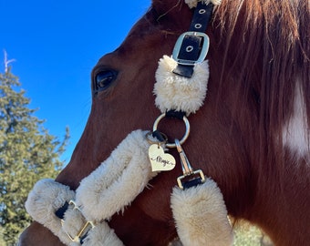 Médaillon personnalisé pour cheval , médaillon cheval, étiquette personnalisée pour LICOL