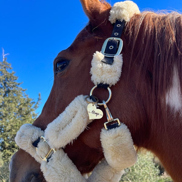 Médaillon personnalisé pour cheval , médaillon cheval, étiquette personnalisée pour LICOL