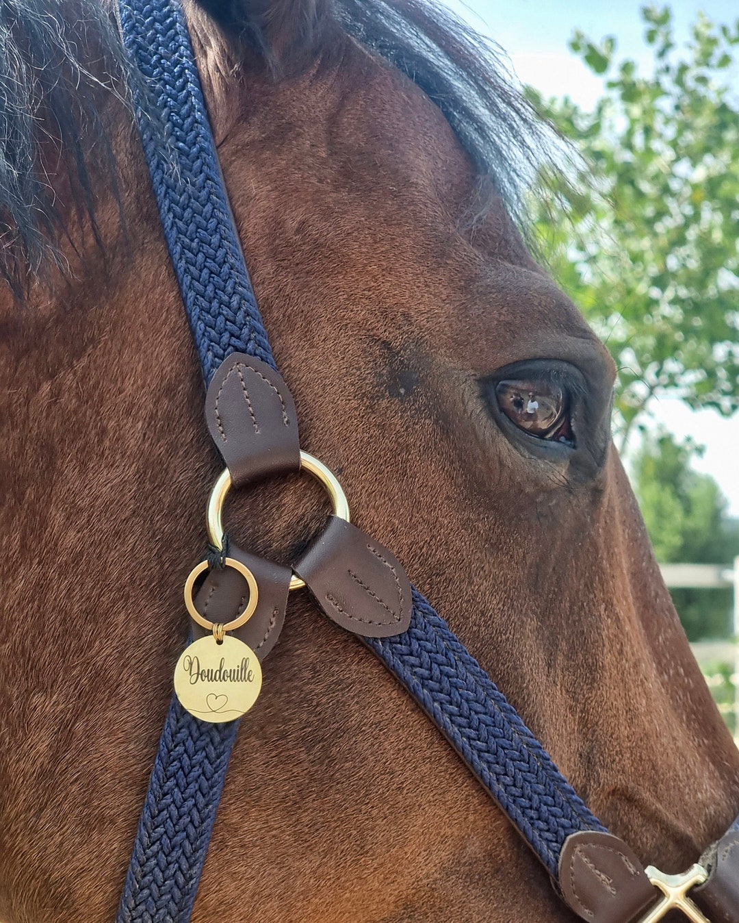 Personalized Horse Medallion, Halter Tag, Personalized Engraved Medal