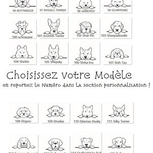 Médaillon personnalisé pour chien, avec petite médaille , médaille gravée avec téléphone , collier pour chien avec image image 7