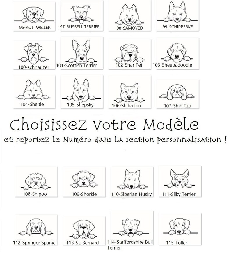 Médaillon personnalisé pour chien, avec petite médaille , médaille gravée avec téléphone , collier pour chien avec image image 7