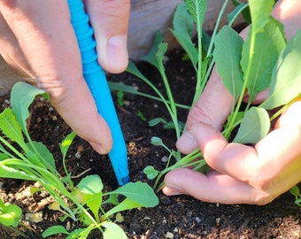 The DIBBY XL Garden Tool - Dibber, Dibbler, Seed Sowing Tool, Transplant Seedlings, Graduated Depth Markings (Patent Pending)