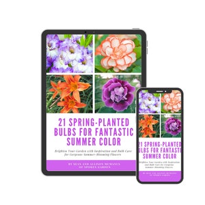 eBook: 21 Spring-Planted Bulbs For Fantastic Summer Color image 1