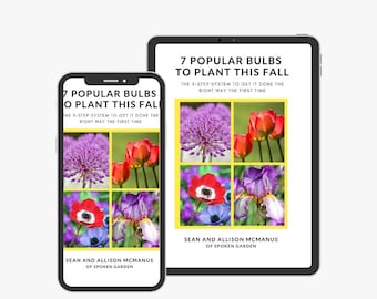 eBook- 7 Popular Bulbs to Plant This Fall