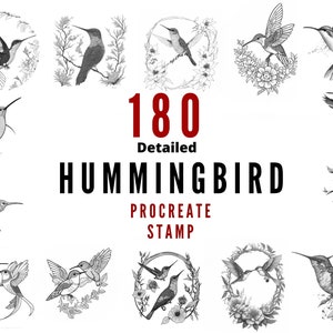 180 Procreate Hummingbird Stamps, a bundle of Procreate Stamp Brushes, and an immediate digital download zdjęcie 2