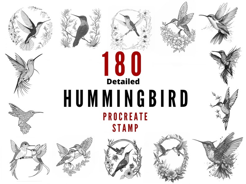 180 Procreate Hummingbird Stamps, a bundle of Procreate Stamp Brushes, and an immediate digital download zdjęcie 2