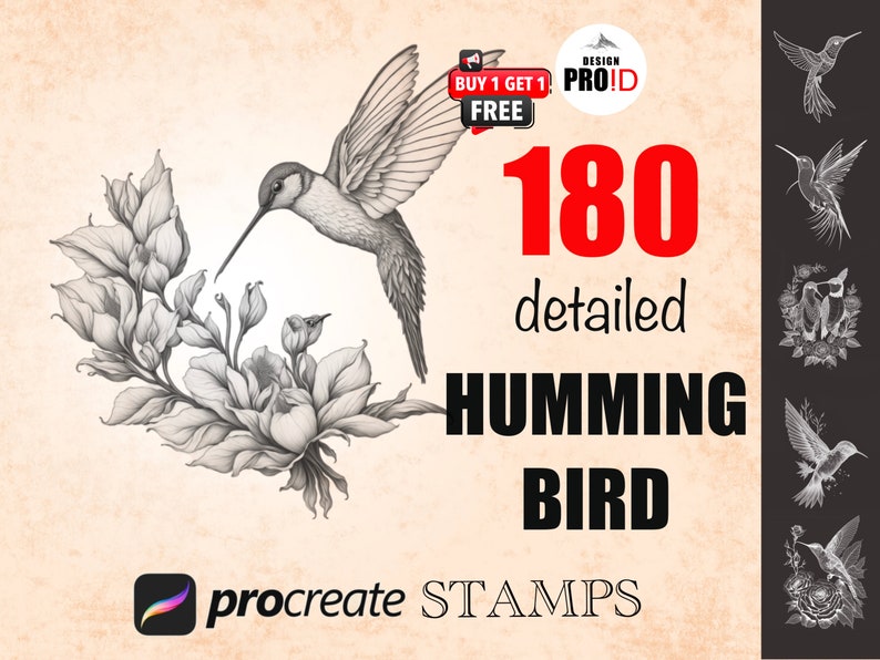 180 Procreate Hummingbird Stamps, a bundle of Procreate Stamp Brushes, and an immediate digital download zdjęcie 1