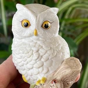 Owl figurine, baby owl designed by John Aynsley for Aynsley Pottery circa 1975, gift for back to school
