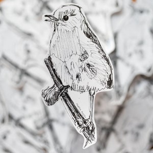 Robin drawing stickers