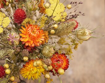 Sonnige Frieda | Bio-Trockenblumenstrauß