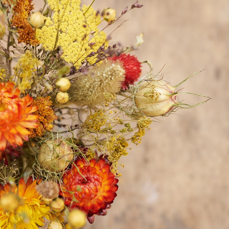 May include: Dried flower bouquet with yellow, orange, and red flowers, and brown seed pods.