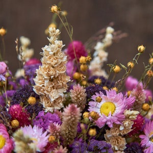 May include: A bouquet of dried flowers in shades of pink, purple, and cream. The bouquet includes dried lavender, strawflower, and other wildflowers.