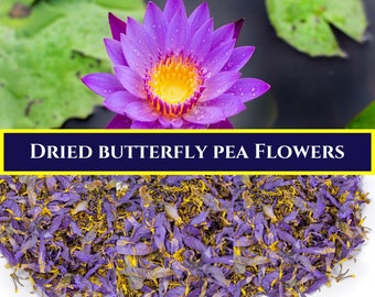 Blue Lotus Flowers(Nymphaea Caerulea )Dried Organic Lotus flowers-Best relaxing tea/Lucid dreaming-Sacred Blue Lotus/Blue Lotus Tea