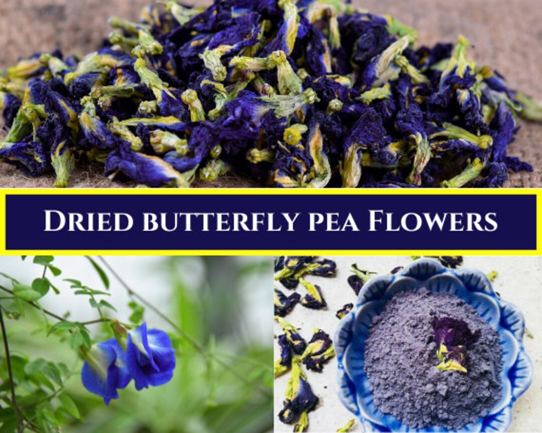 Dry Butterfly Pea Flowersclitoria Ternatealoose Leaf Etsy