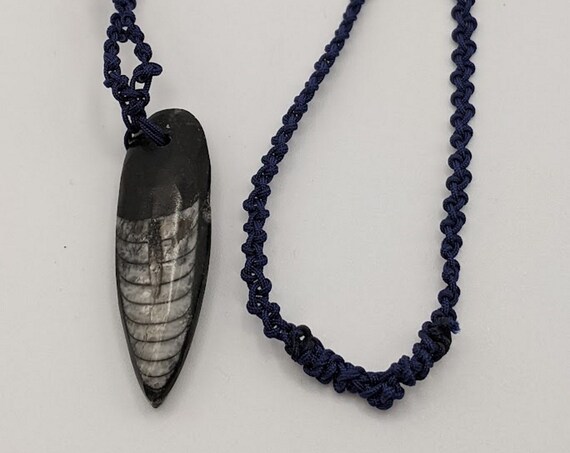 Orthoceras Fossil Pendant Necklace