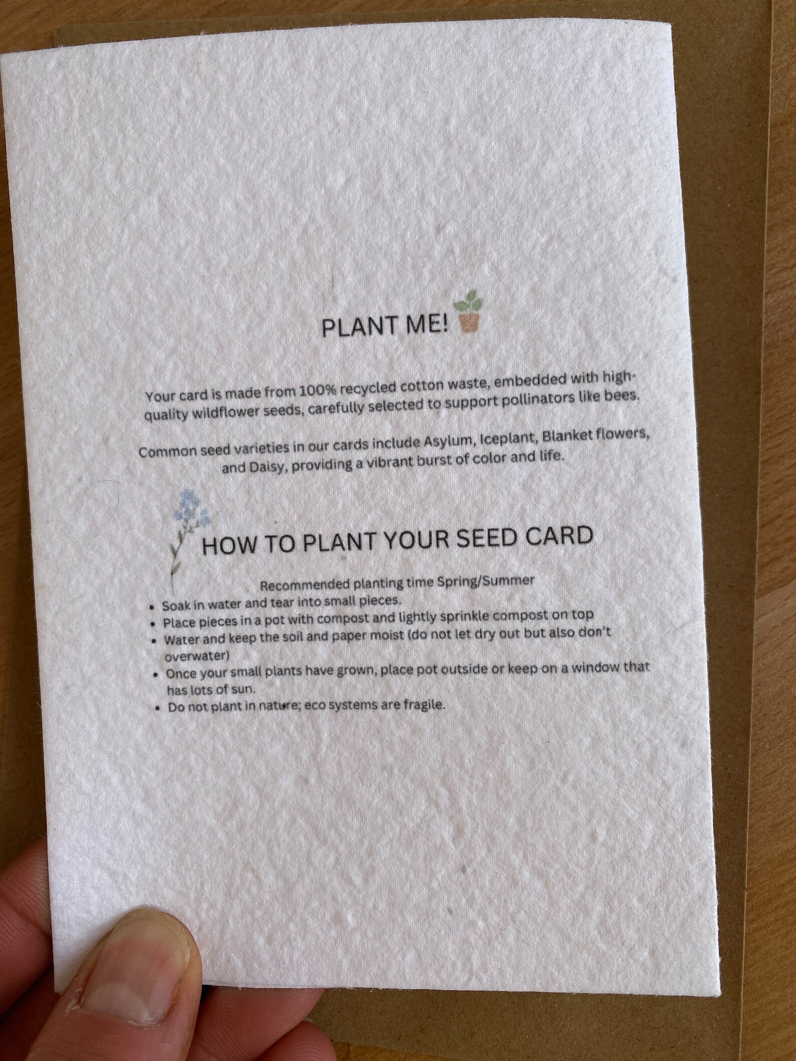 A4 Plantable Seed Paper U2013 Printer Friendly - Wild Bloom Box