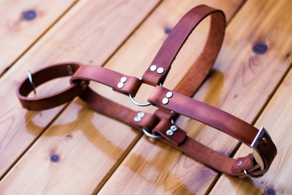 Leather Dog Harness Etsy