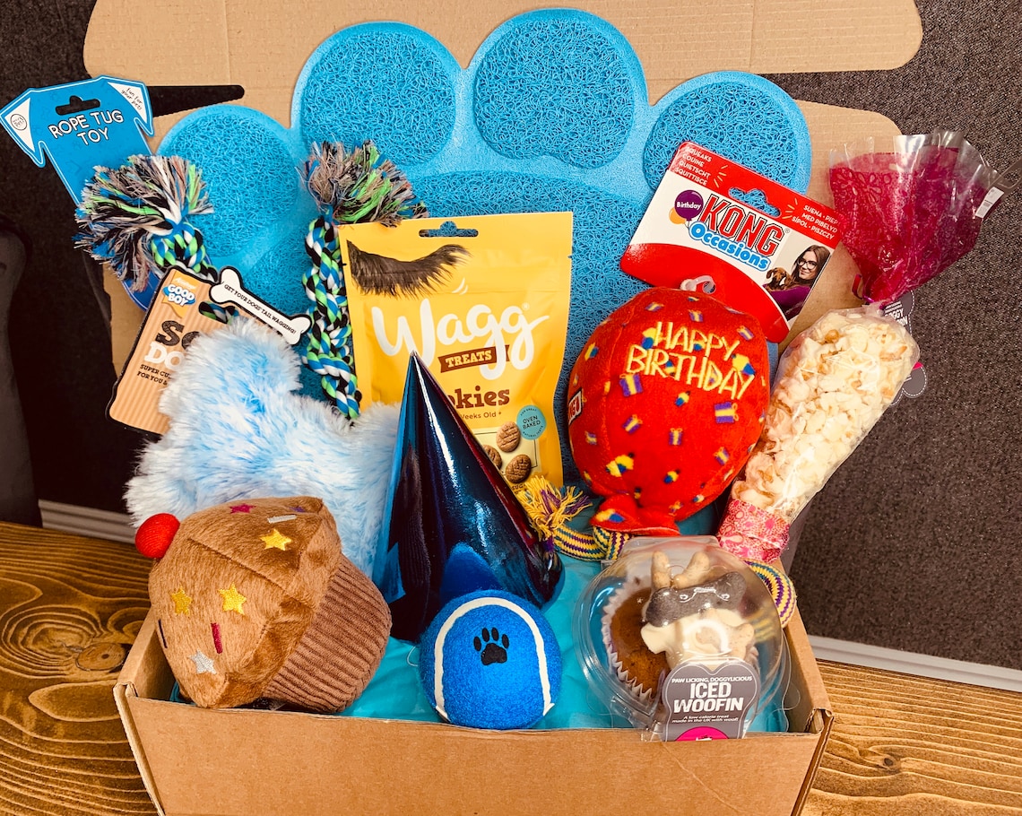 Birthday Box for Dogs Etsy