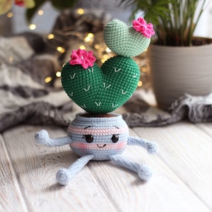 Cute cactus lover gift, valentine day gift for her, teacher valentine gift, friendship gift, funny gift, eco friendly gifts