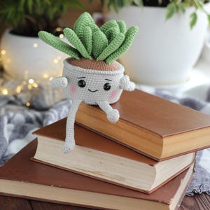 Può includere: Una pianta succulenta all'uncinetto in un vaso sorridente con braccia e gambe, seduta su una pila di libri marroni. La pianta ha foglie verdi e una base di terra marrone. Il vaso è grigio chiaro con un volto sorridente e guance rosa. I libri hanno pagine ingiallite.