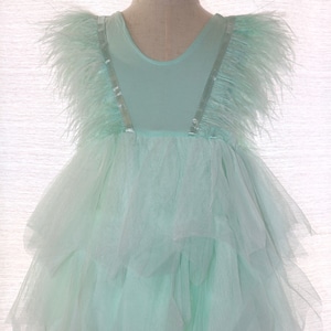 Feather Tulle ruffle dress