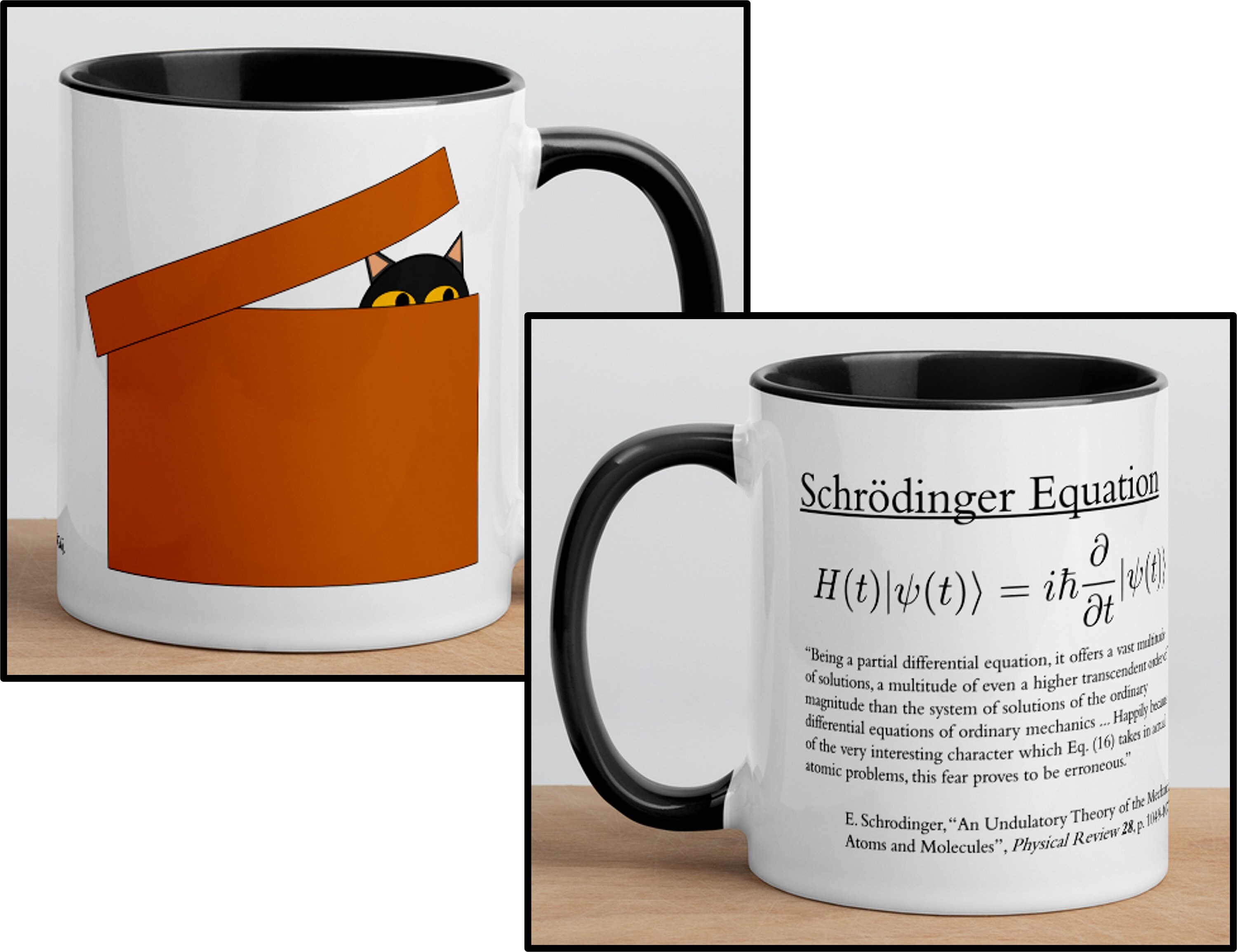 Schrodinger Equation Coffee Mug Gift for Serious Physics and Etsy