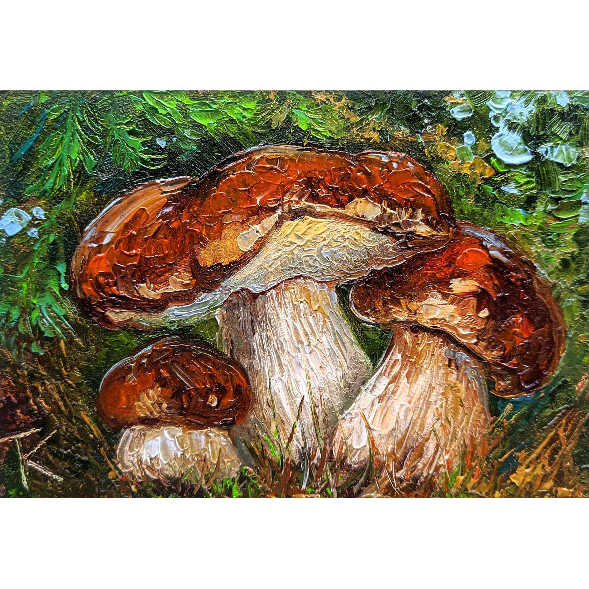 Porcini Bolete Mushroom Botanical Art Print Color Plate/ -  Portugal