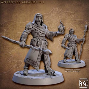 May include: A gray Apprentice Arcanist figurine with a staff and a flaming orb. The figure is wearing a hooded robe and holding a staff. The text "APPRENTICE ARCANIST + B" is at the top. A smaller version of the figure is also present.