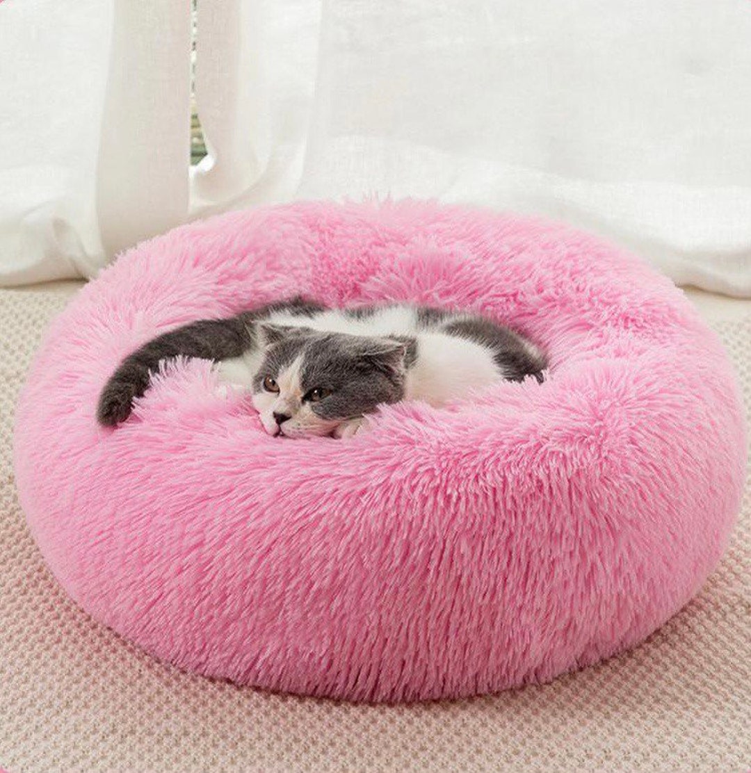 Premium Fluffy Pet Bed for Dogs and Cats Fluffy Dog Bed Etsy
